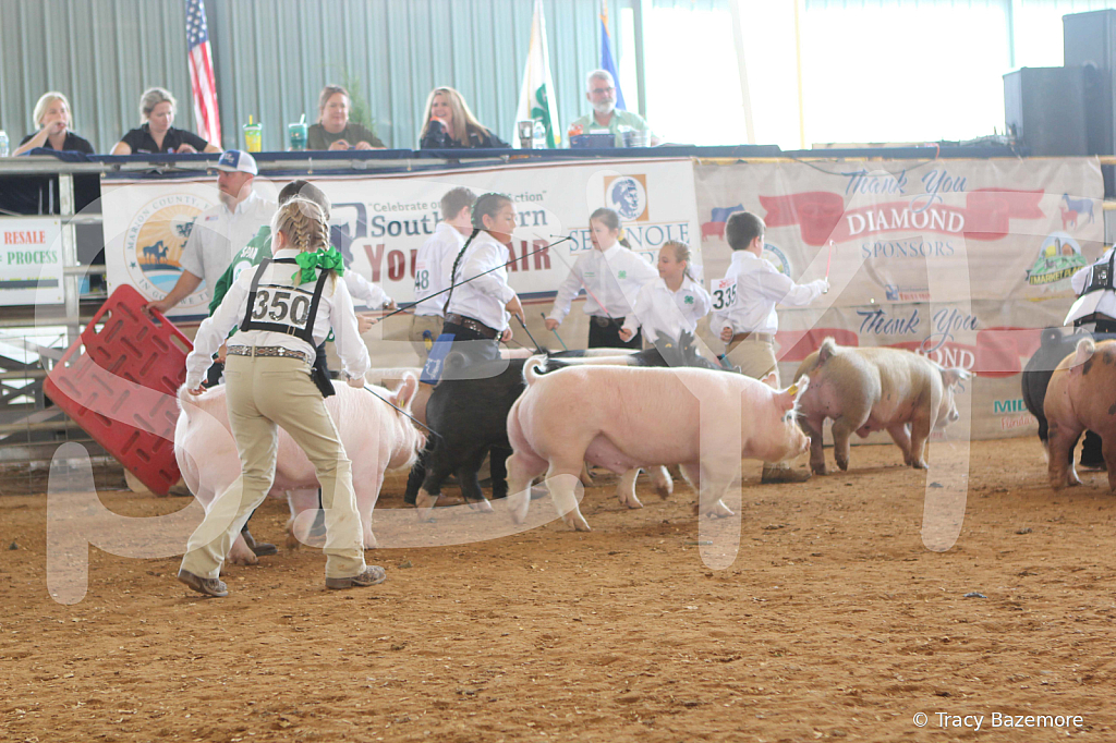 swine9854
