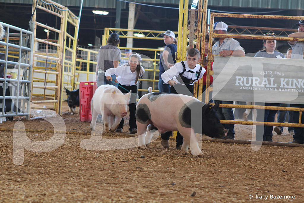 swine9856