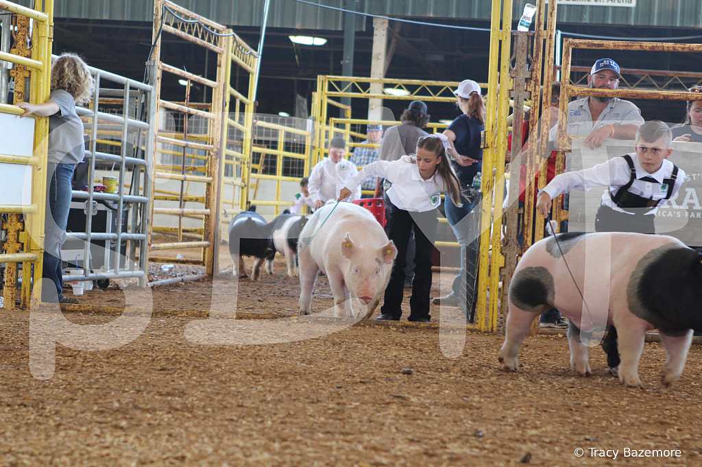swine9857