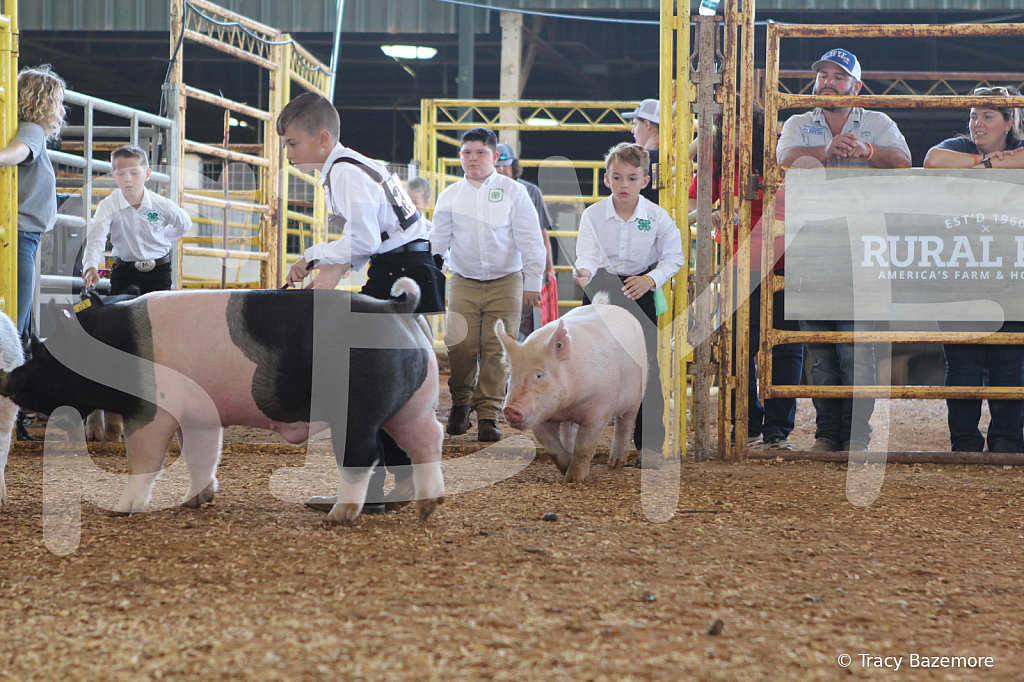 swine9860