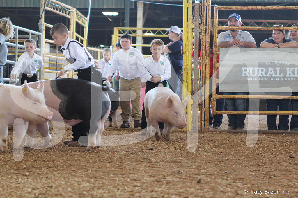 swine9861