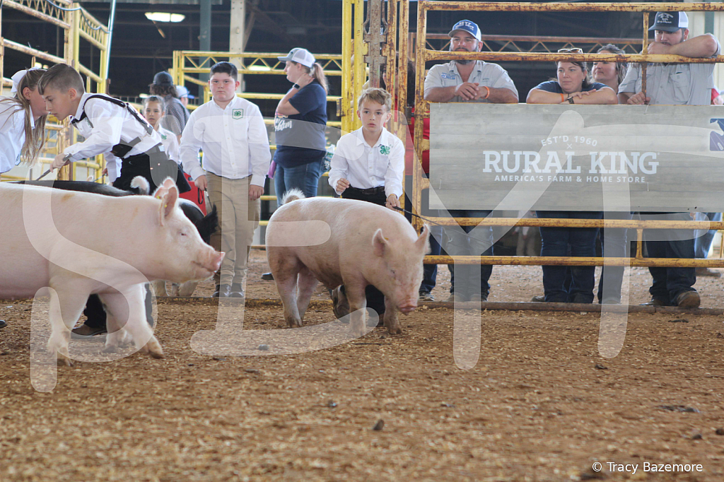 swine9862