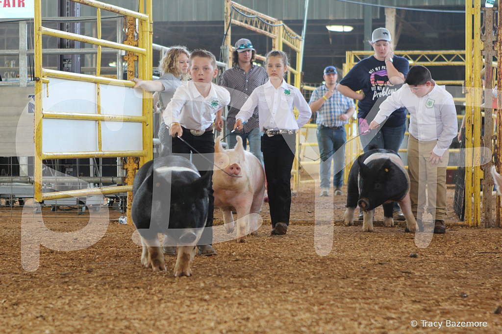 swine9865