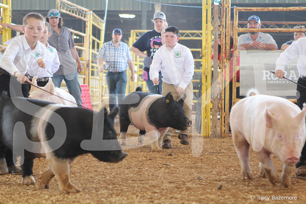 swine9867