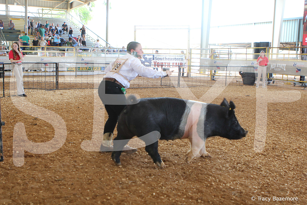 swine9868
