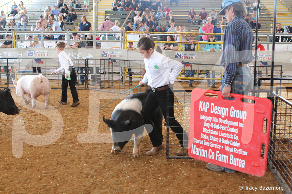 swine9869
