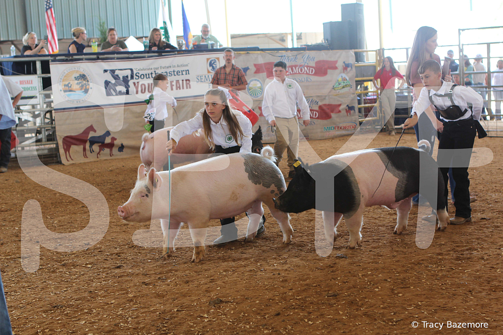 swine9870