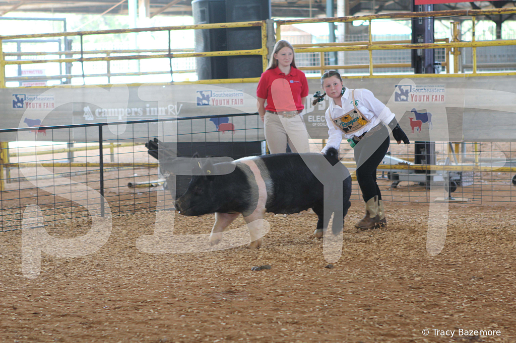 swine9872