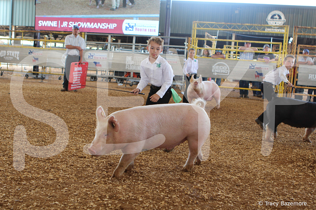 swine9873