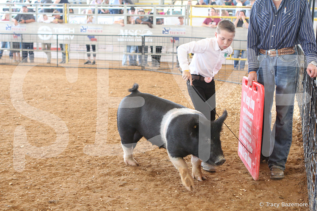 swine9874