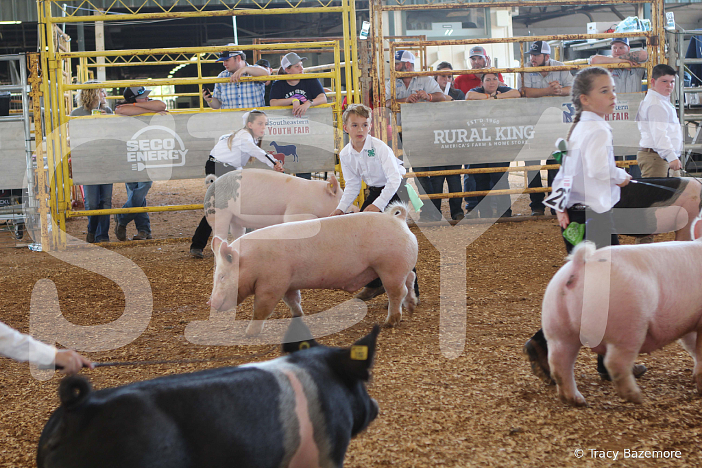 swine9877