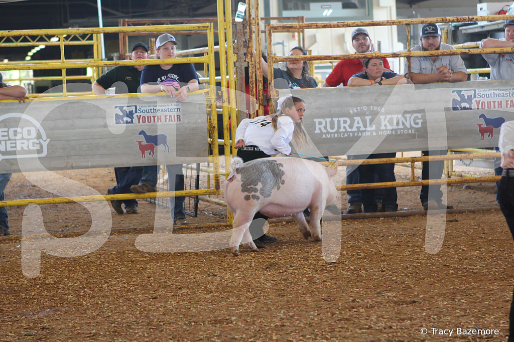 swine9879