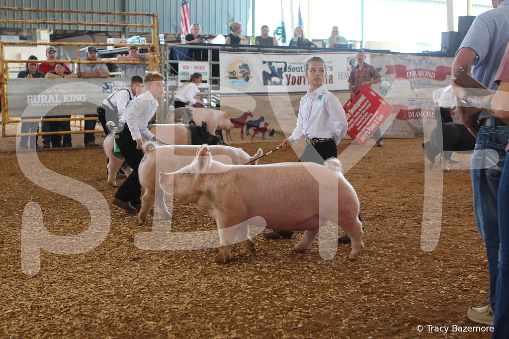swine9880