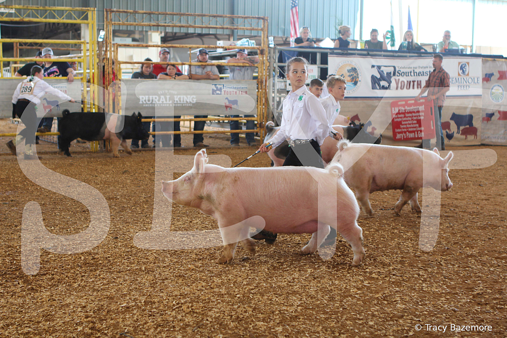 swine9881