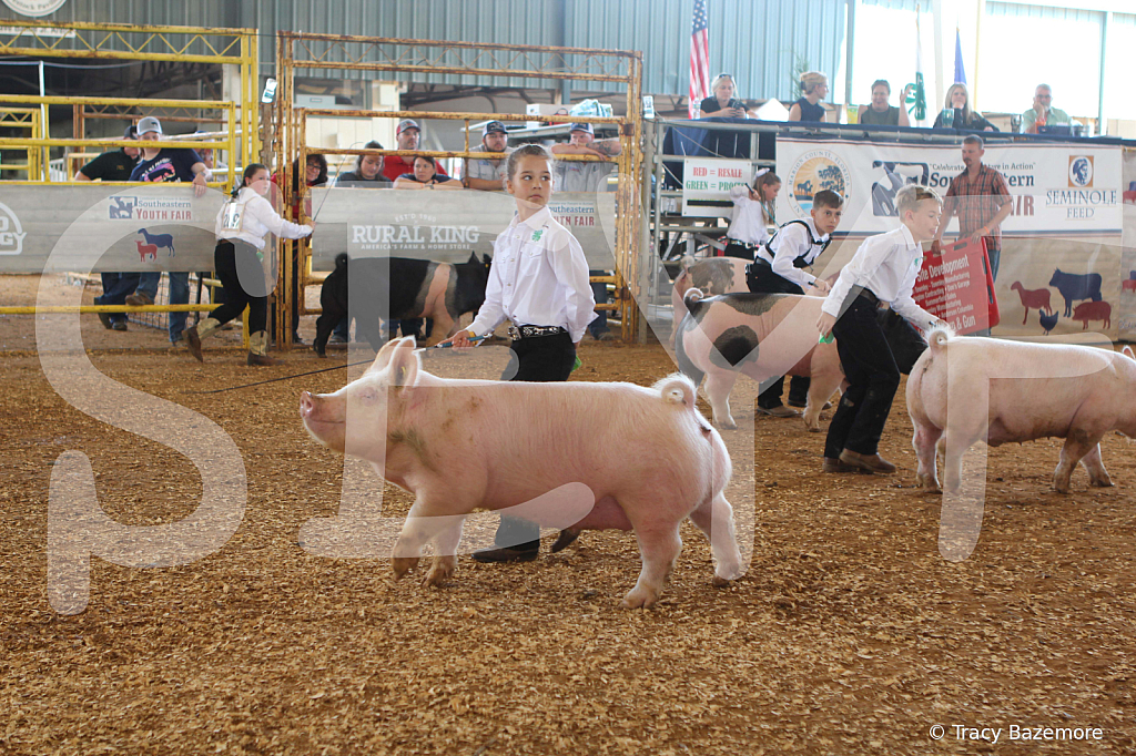 swine9882