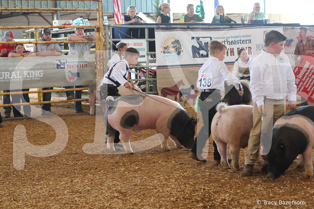 swine9883