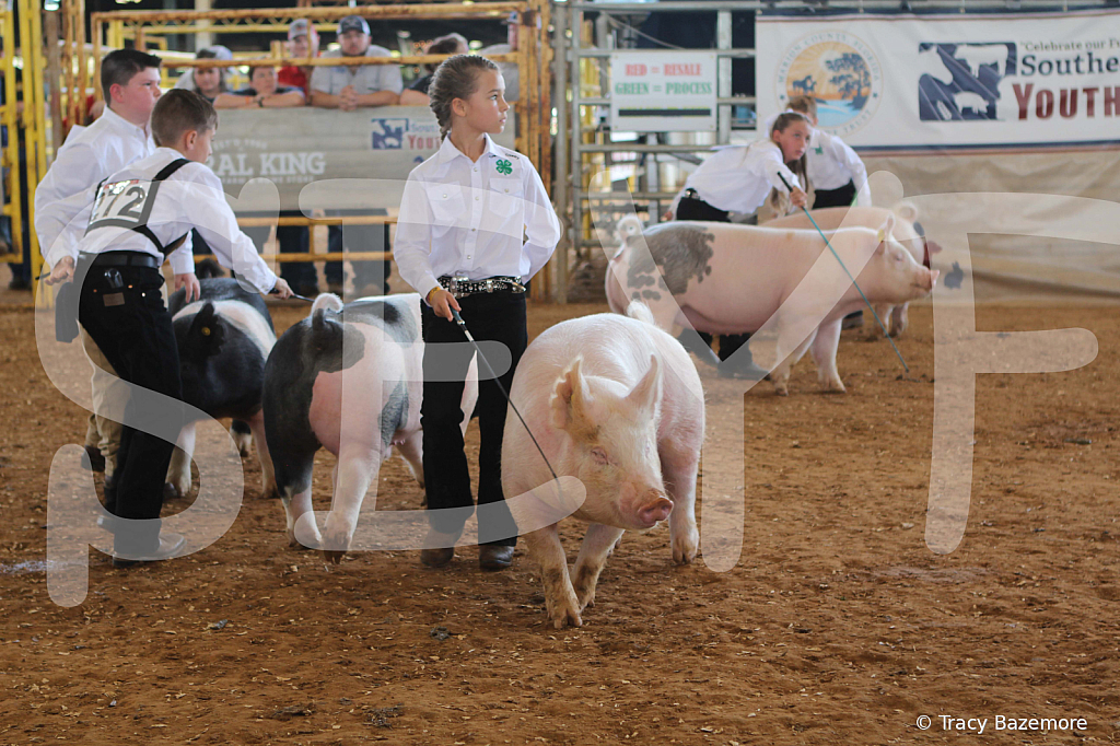 swine9885