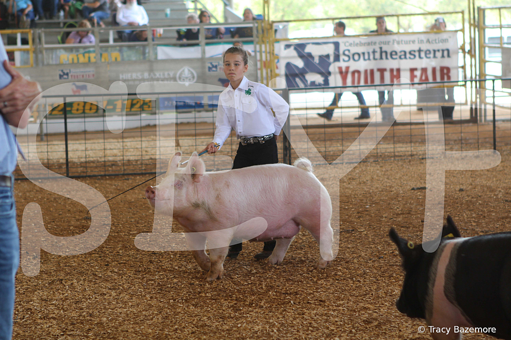 swine9886