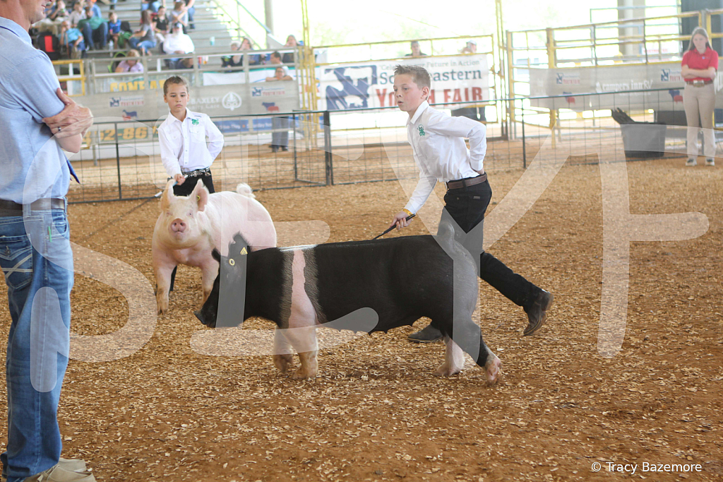 swine9887