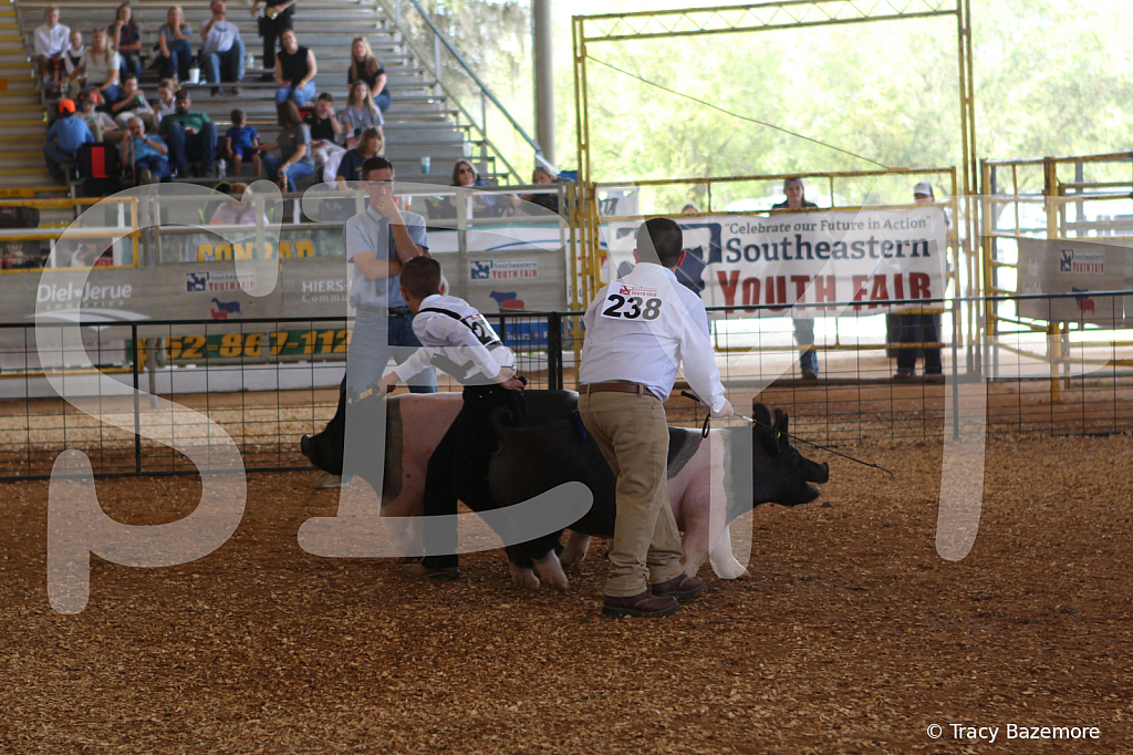 swine9889