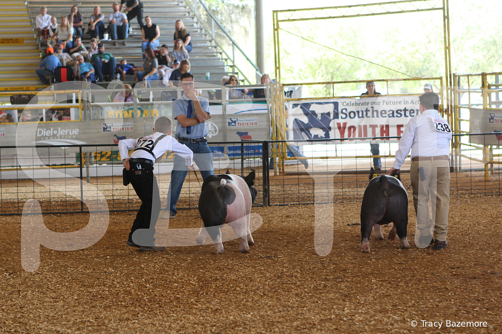 swine9890