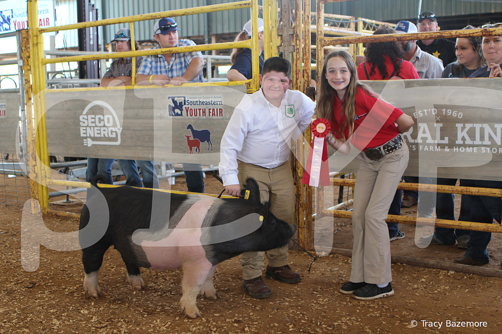 swine9892