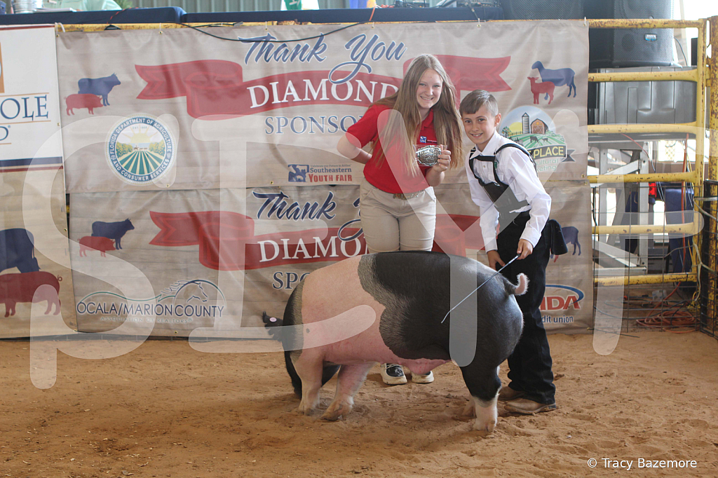 swine9893