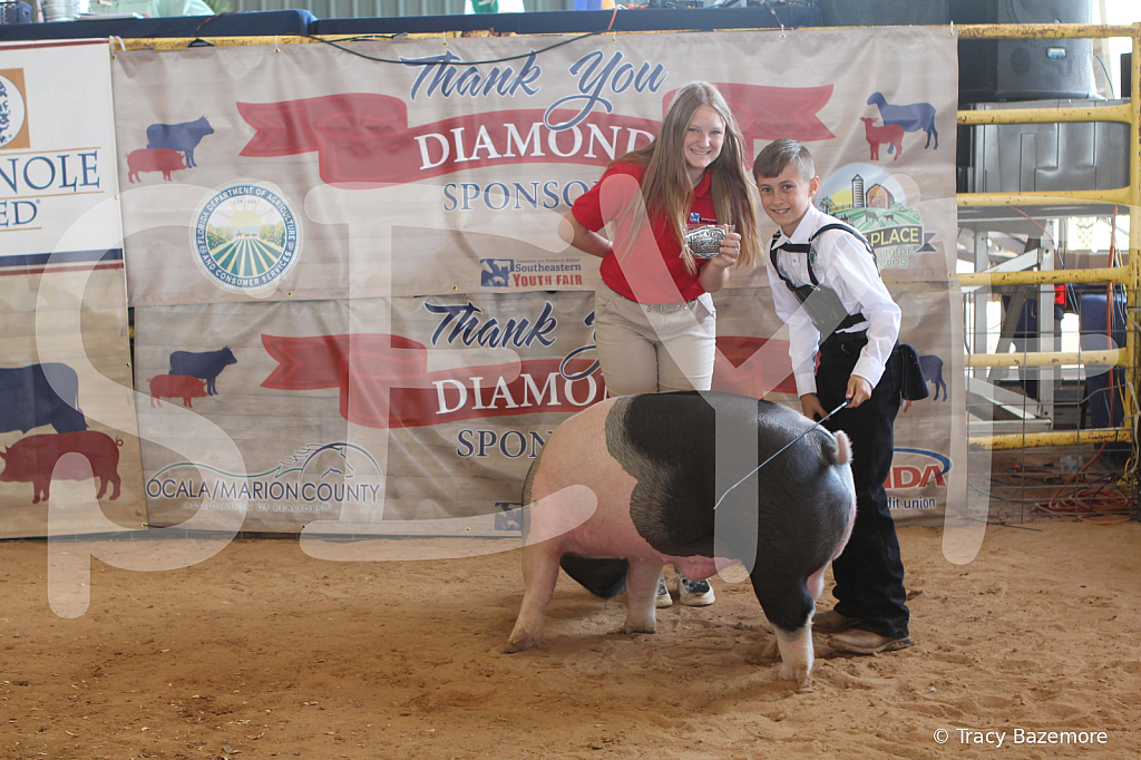 swine9894