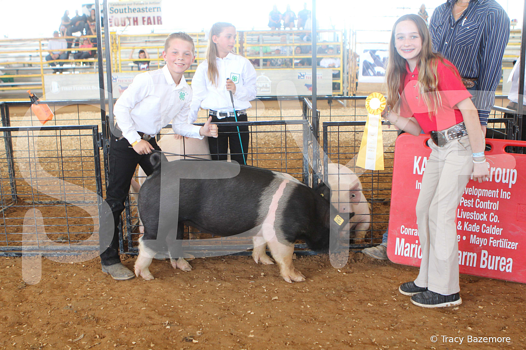 swine9895