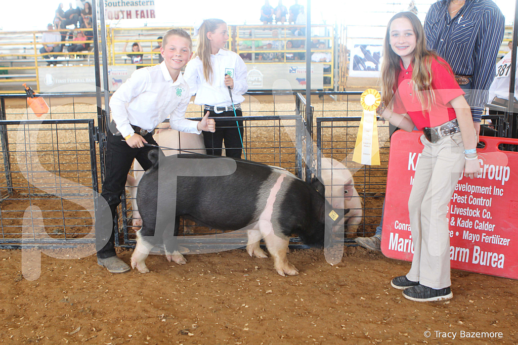 swine9896