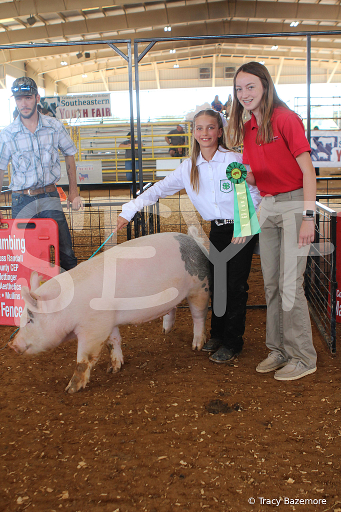 swine9899