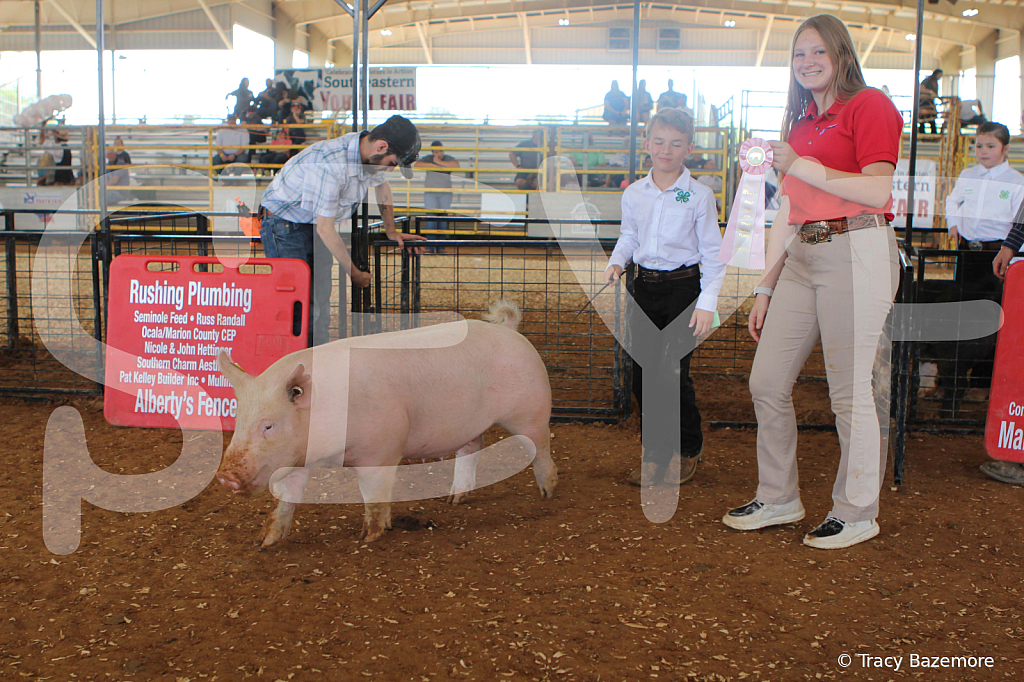 swine9900