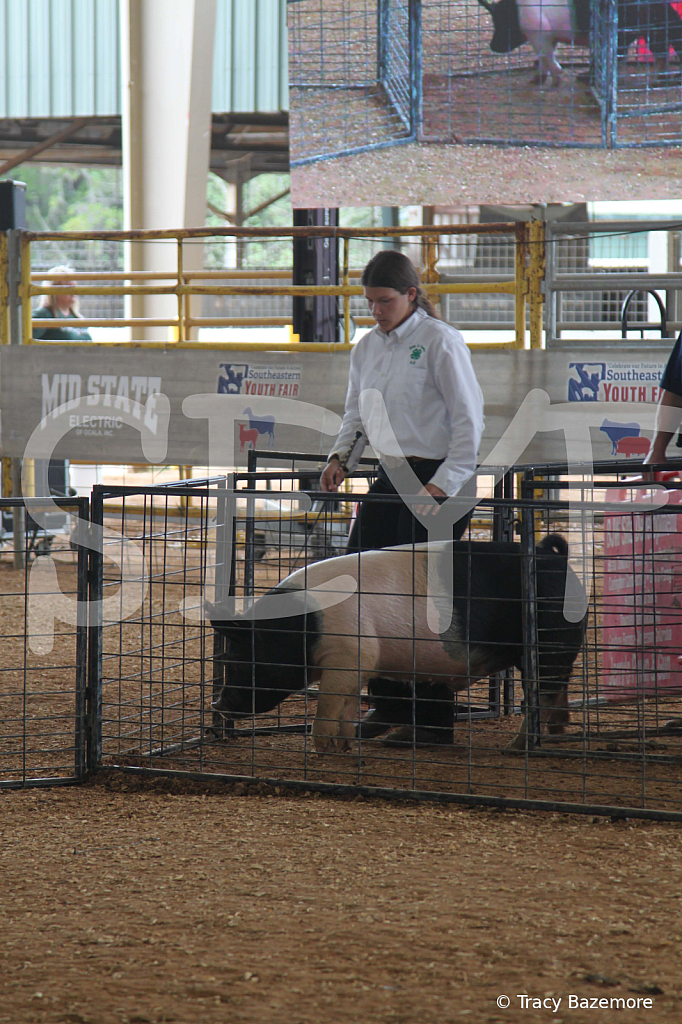 swine0902
