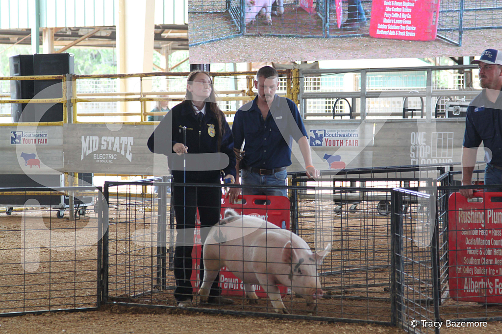 swine0907