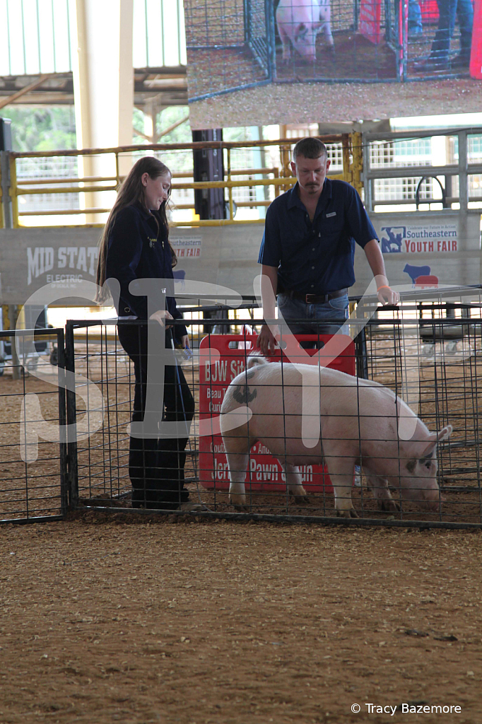 swine0909