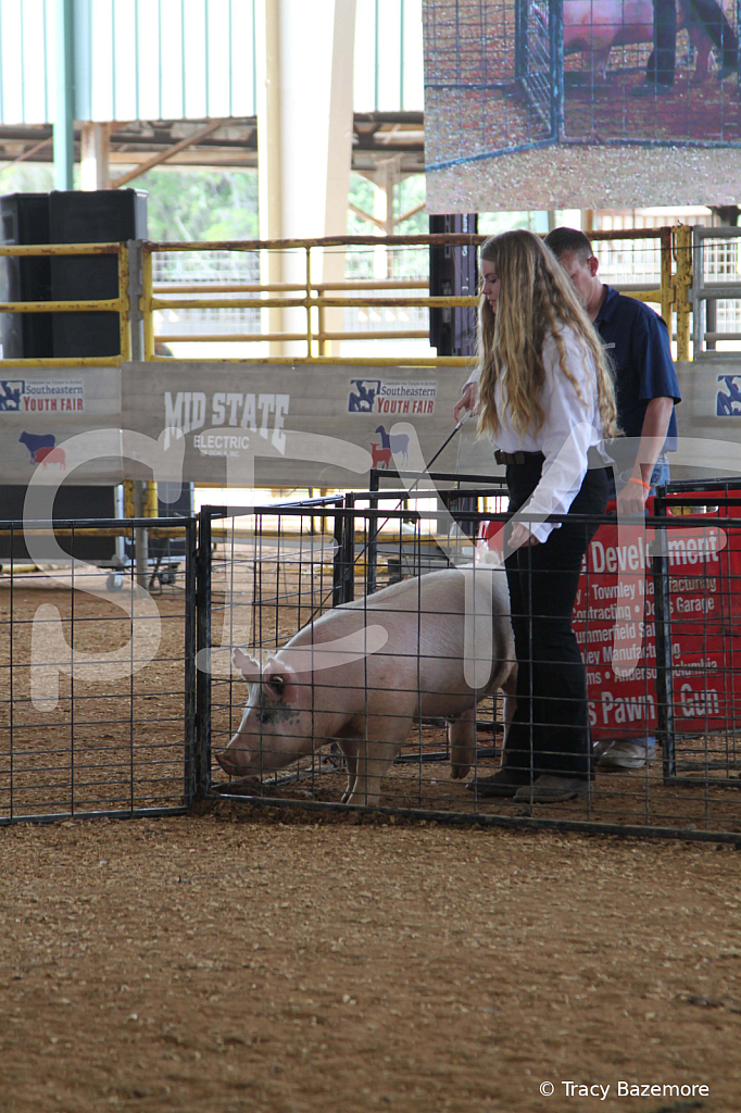 swine0921
