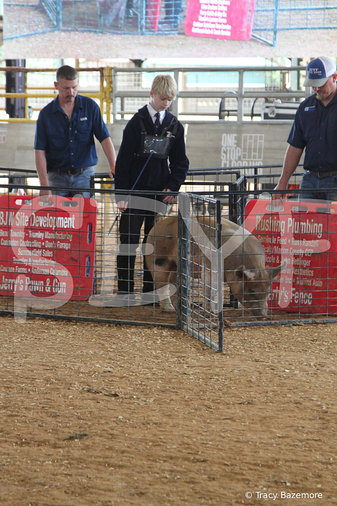 swine0929