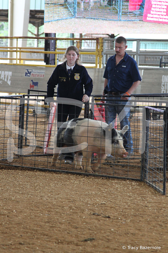 swine0942
