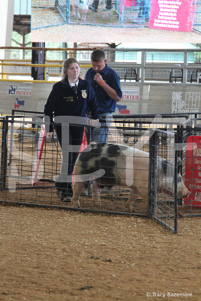 swine0943