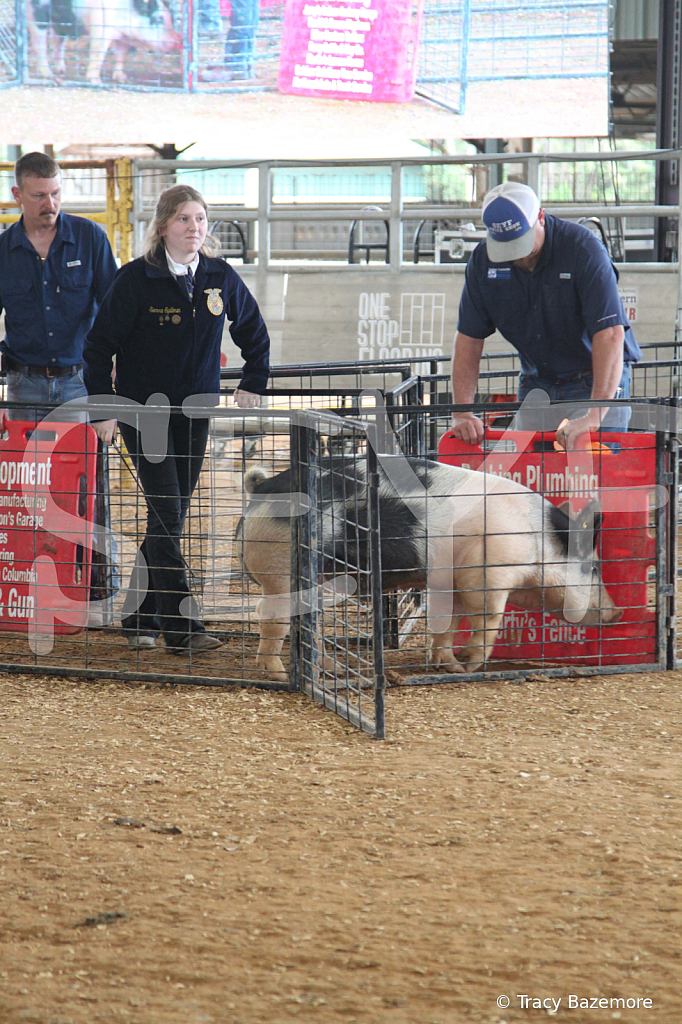 swine0944