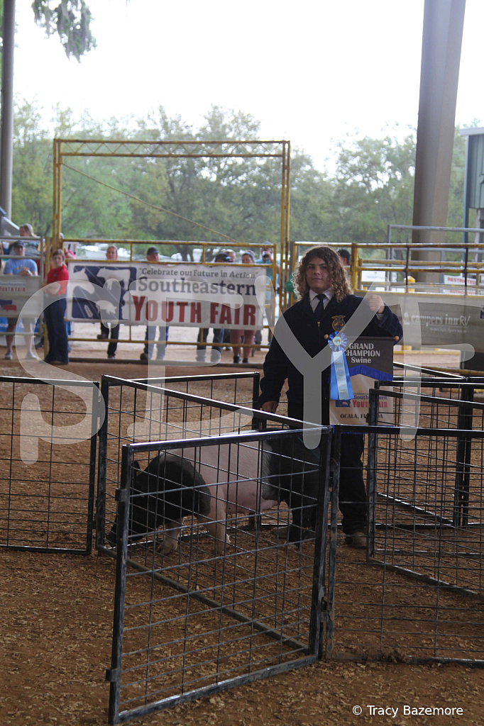 swine0287