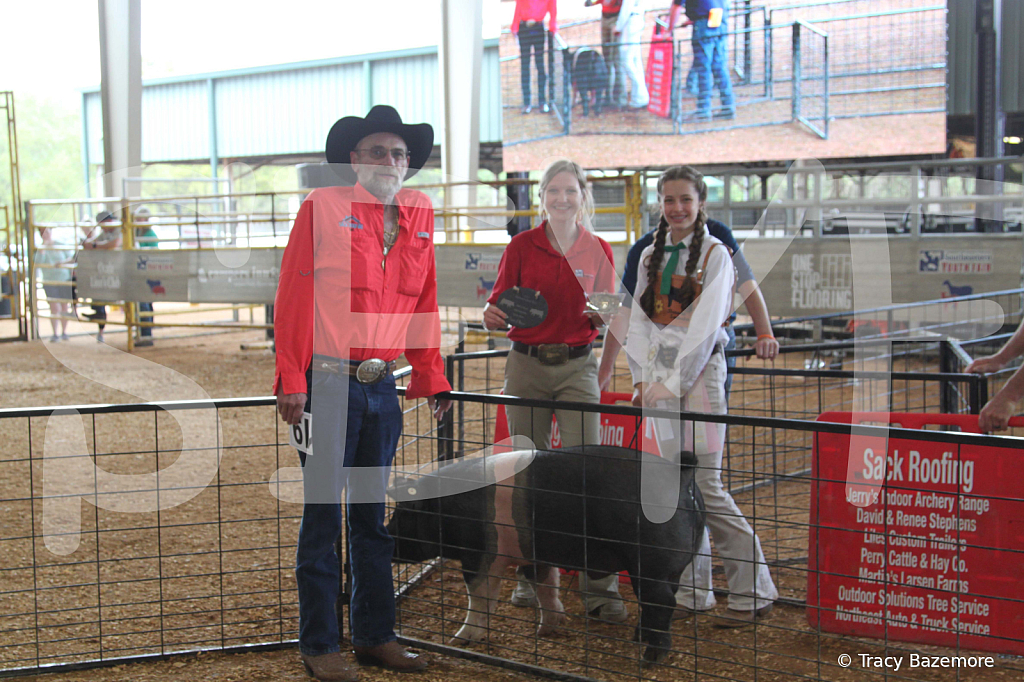 swine0298