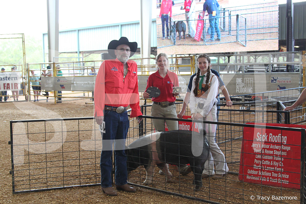 swine0299