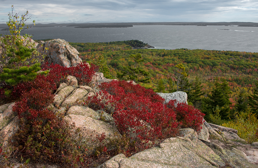 Acadia National Park