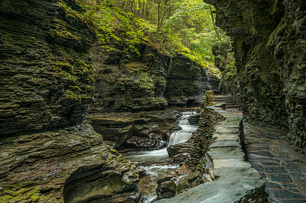 Watkins Glen Gorge