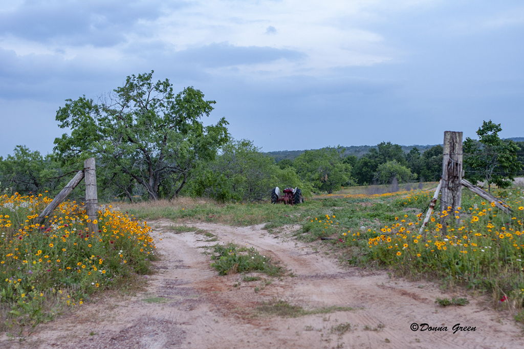 Texas Farm Road