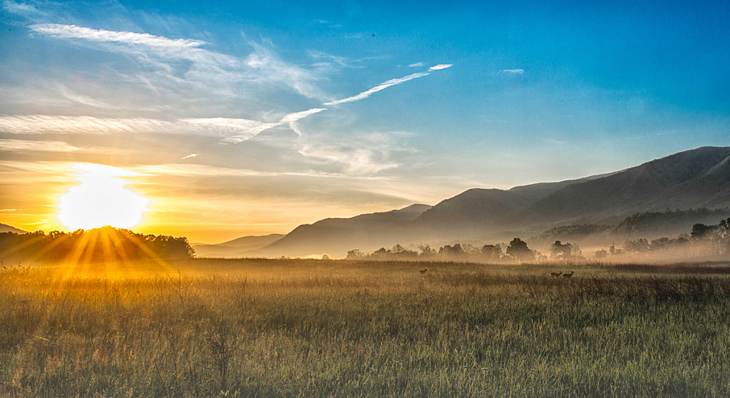 Sunrise, Cades Cove, Great Smoky Mountains