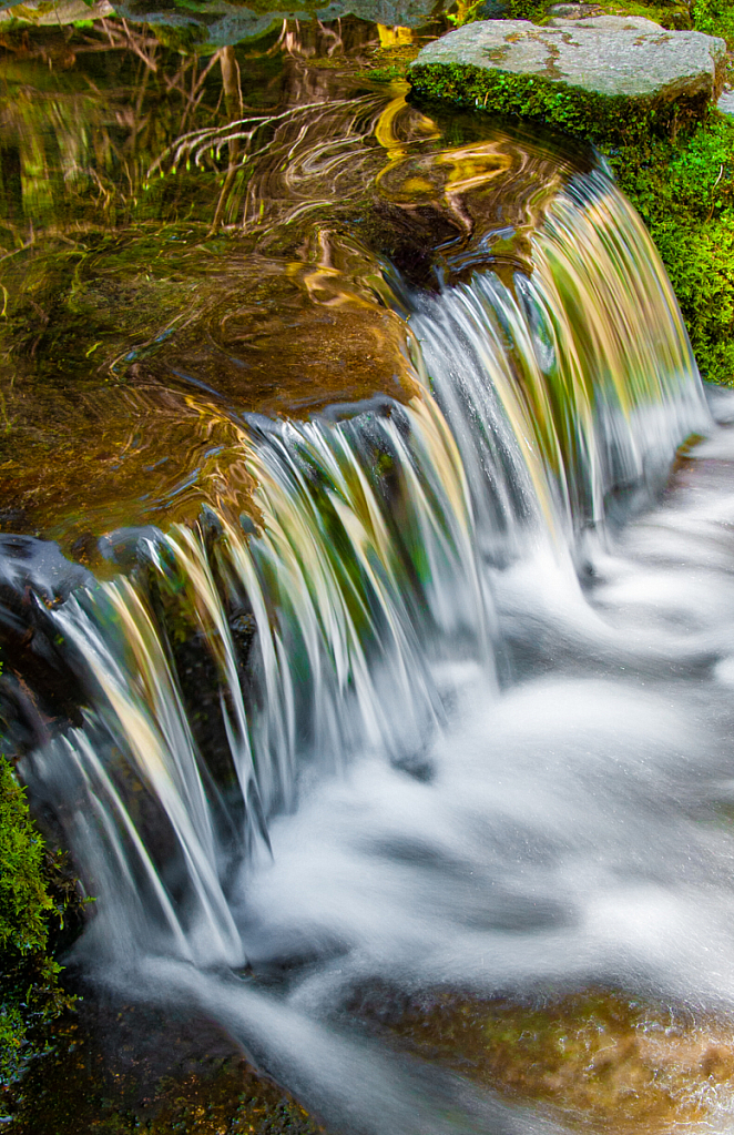 Fern Spring