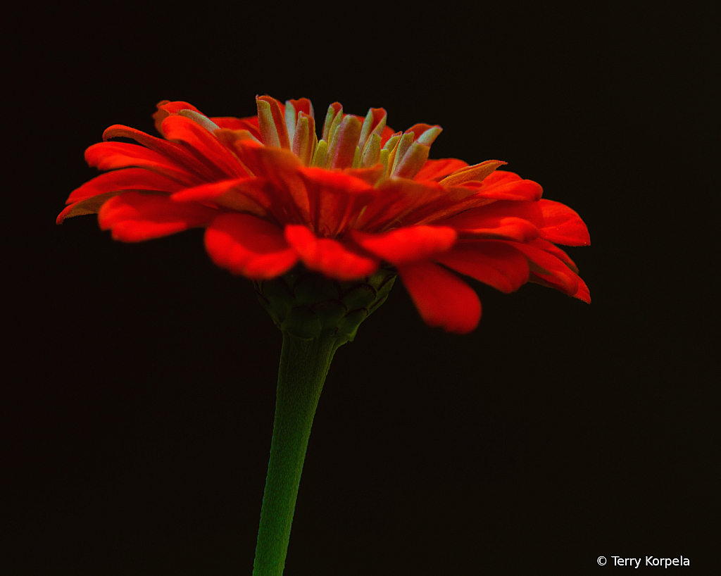 State Botanical Garden of Georgia