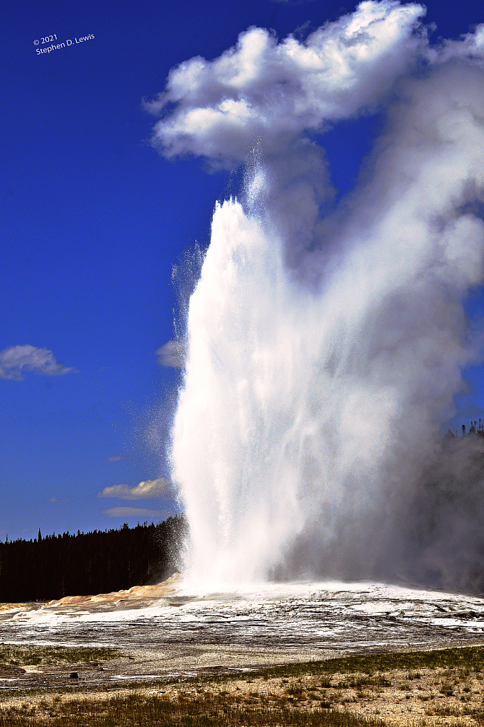 Old Faithful